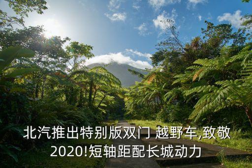  北汽推出特别版双门 越野车,致敬2020!短轴距配长城动力