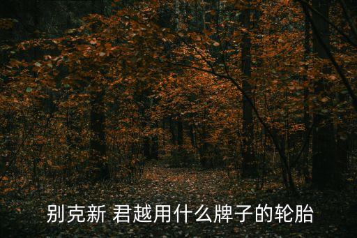  别克新 君越用什么牌子的轮胎