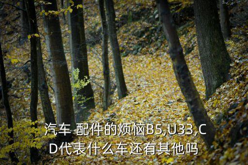  汽车 配件的烦恼B5,U33,CD代表什么车还有其他吗