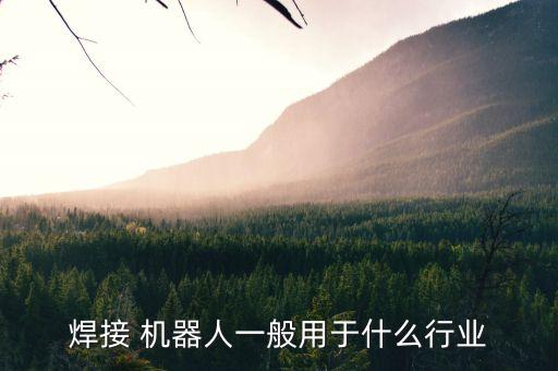 焊接 机器人一般用于什么行业