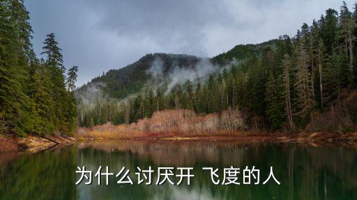 为什么讨厌开 飞度的人