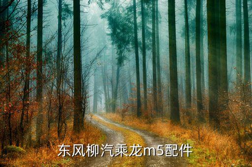 东风柳汽乘龙m5配件