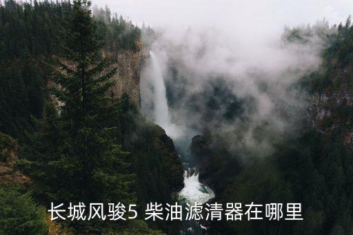 长城风骏5 柴油滤清器在哪里