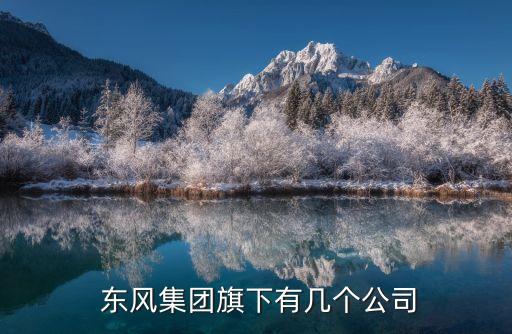  东风集团旗下有几个公司
