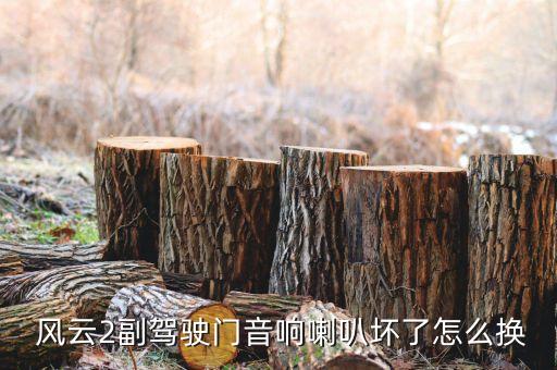 老风云车门配件,风云2车门打不开怎么解决