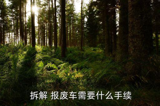  拆解 报废车需要什么手续