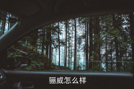  骊威怎么样