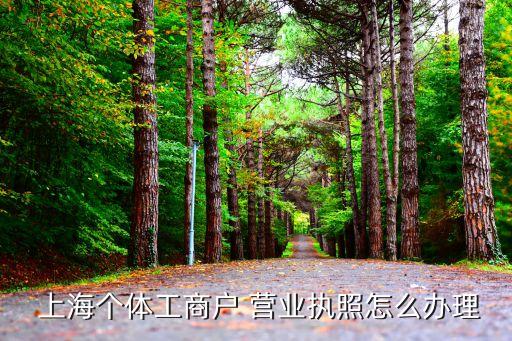  上海个体工商户 营业执照怎么办理