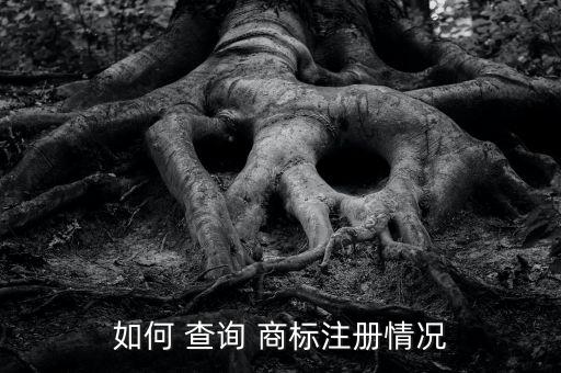 如何 查询 商标注册情况