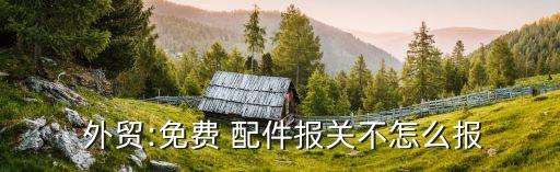  外贸:免费 配件报关不怎么报