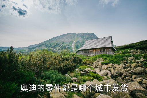 奥迪的零件都是哪个城市发货