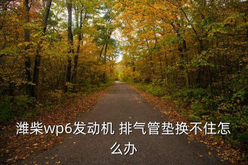 排气管垫片怎么安装,踏板摩托车排气管垫片安装视频