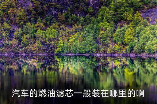 汽车的燃油滤芯一般装在哪里的啊