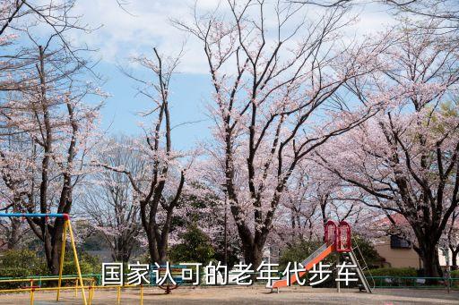 国家认可的老年代步车
