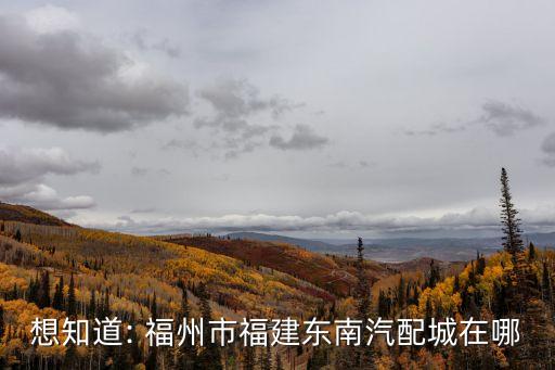 想知道: 福州市福建东南汽配城在哪
