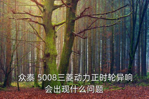  众泰 5008三菱动力正时轮异响会出现什么问题