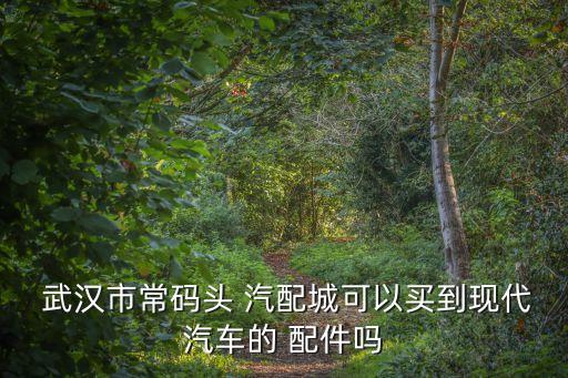  武汉市常码头 汽配城可以买到现代汽车的 配件吗