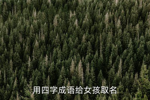 四个字的女孩名字,王姓四个字的女孩名字