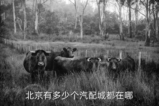 北京有多少个汽配城都在哪