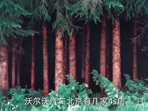  沃尔沃汽车北京有几家4s店