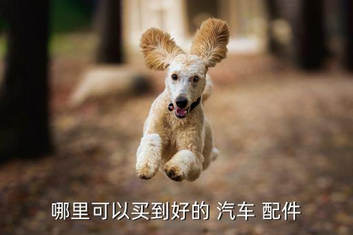 在哪里找汽车配件厂家,观致汽车配件厂家一览表