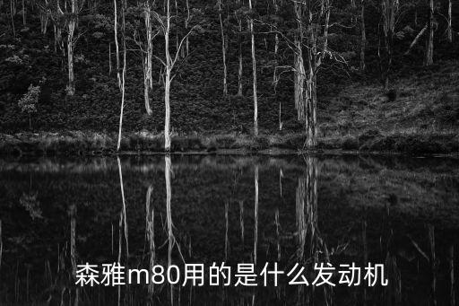 哪里有一汽森雅M80传动轴,一汽森雅是哪里生产的