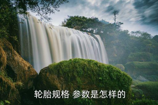  轮胎规格 参数是怎样的
