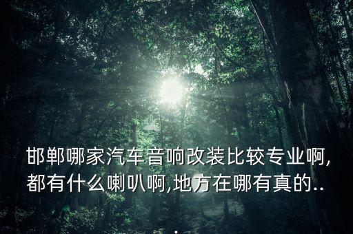  邯郸哪家汽车音响改装比较专业啊,都有什么喇叭啊,地方在哪有真的...