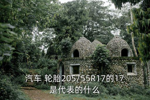 汽车 轮胎205/55R17的17是代表的什么