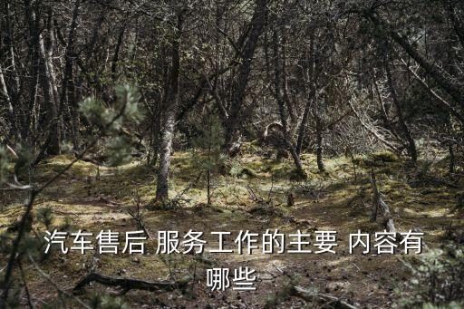汽车维修服务内容怎么写,维修服务计划方案怎么写