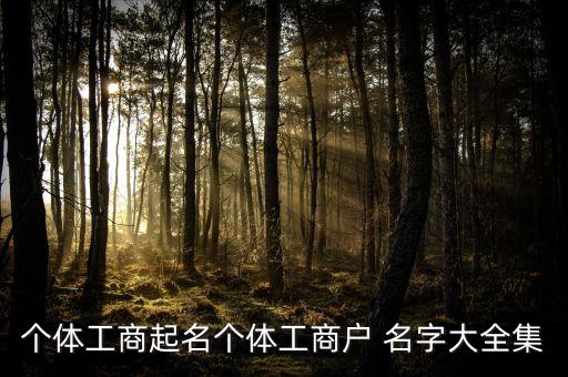 办营业执照取名字大全,营业执照取名字大全免费查询