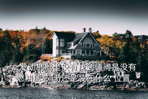 自由舰燃油滤清器在哪个位置,汽车燃油滤清器在哪个位置