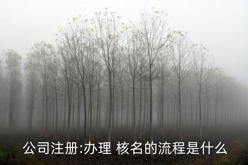 公司名称怎么核名,申请公司名称预先核名
