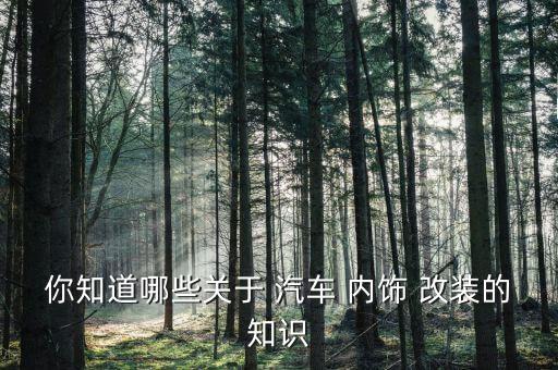 你知道哪些关于 汽车 内饰 改装的知识