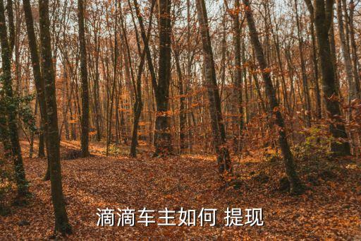 滴滴车主如何 提现