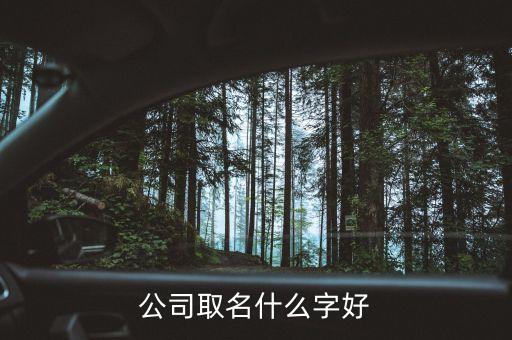 取企业名字用哪些字比较好,企业取名字参考大全