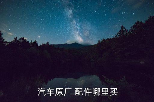  汽车原厂 配件哪里买