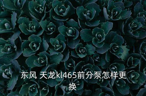  东风 天龙kl465前分泵怎样更换