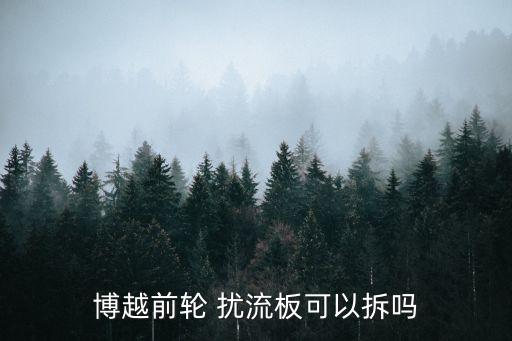 博越前轮 扰流板可以拆吗