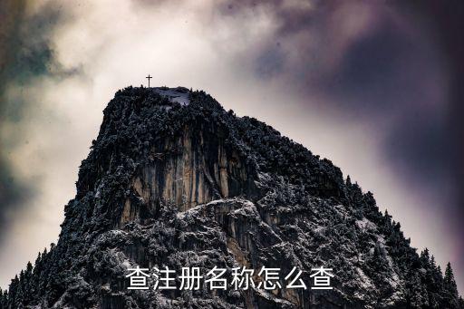 查注册名称怎么查