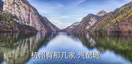 杭州有那几家 汽配城