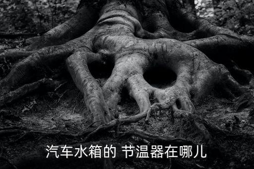 汽车水箱的 节温器在哪儿