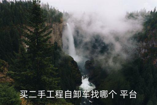 买二手工程自卸车找哪个 平台