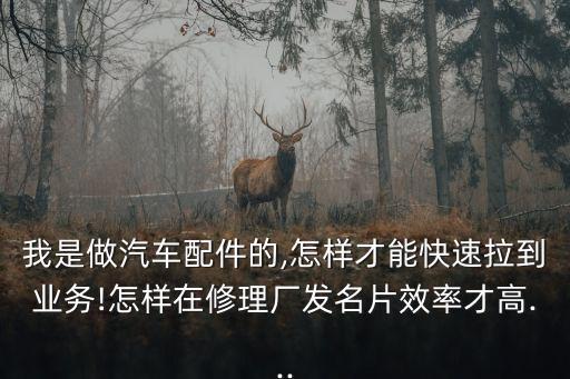 我是做汽车配件的,怎样才能快速拉到业务!怎样在修理厂发名片效率才高...