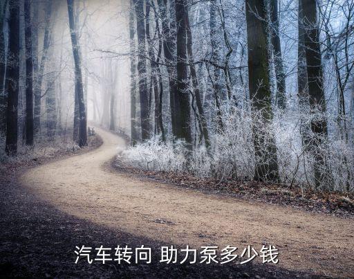 汽车转向 助力泵多少钱