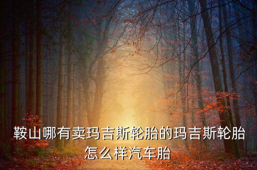 鞍山汽配多少家,鞍山鑫大成汽配