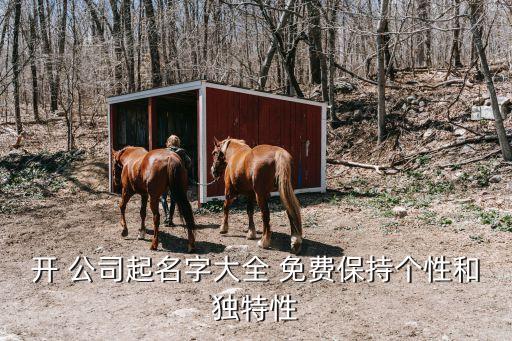 开 公司起名字大全 免费保持个性和独特性