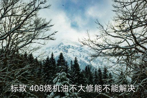 标致 408烧机油不大修能不能解决