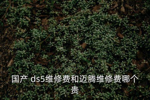 国产 ds5维修费和迈腾维修费哪个贵
