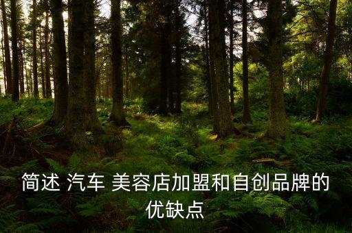 汽车美容加盟连锁怎么样,特福莱汽车美容加盟连锁